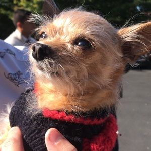 Meet your Posher, Charlie